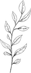 Hand drawn leaves on branch
