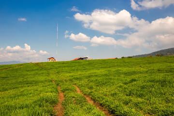 Expansive View of a Lush Green Savanna Under a Cloudy Sky, Embracing the Tranquil Beauty of Nature