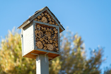  Insect Hotel in the garden.