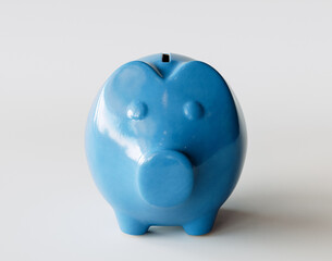 Ceramic Piggy Bank