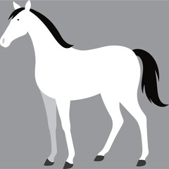 illustration white horse flat art vector