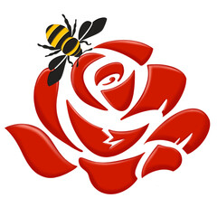 Bee and Red rose on transparent background 
