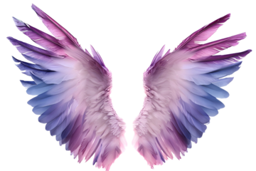 Wings isolated on white background