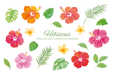 水彩たちのトロピカルな装飾フレーム © fuufuu