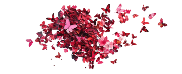 heart made With Pink end Red butterflies confettis .love and Val