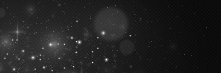 Fototapeta premium Sparkling particles of magic dust. Light effect of glare and stars. On a transparent background.