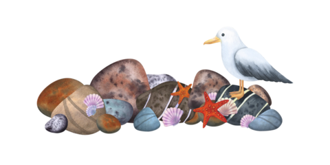 Stone shore with seagull, shells and starfish. The composition is hand-drawn in watercolor, isolated on a white background. For design, packaging, advertising, postcards