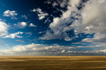 Dog walkers on a beach
