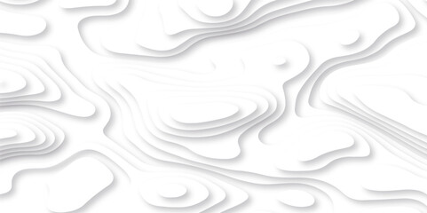 Vector 3D abstract background with paper cut shapes. paper cut topography vector art background banner texture. White wave paper curved reliefs abstract background. Realistic papercut decoration layer