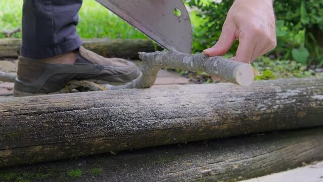 Man saws firewood with hand saw in slow motion. Human hands sawing wood tree trunk with saw in garden or backyard. Gardening work close up.