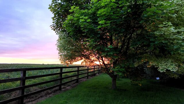 Ireland Epic locations sunset,tree,wooden fence and farmland,lush green landscape in early summer Kildare Ireland