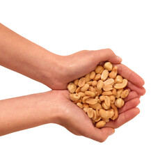 Hand hold handful of peanuts isolated on transparent layered background.