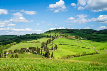 Obraz premium Monticchiello, Italy - April 19, 2024 : Monticchiello Cypress Road in Tuscany of Italy