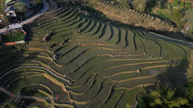 Aerial drone shot flying over rice terraces in the mountains of Sapa, Vietnam