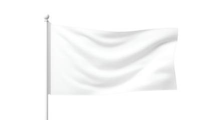 a white flag on a pole