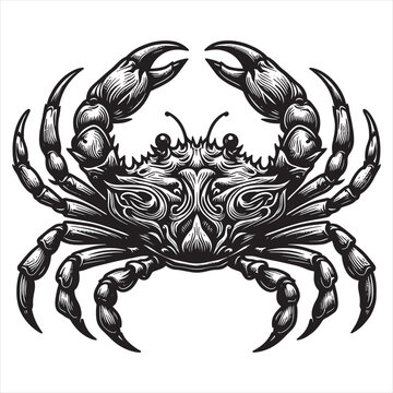 recommend clip art: A black and white drawing of a crab with a pattern . A black and white drawing of a crab with a black and white