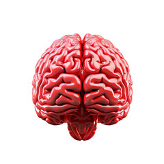 a red brain with white background