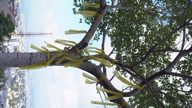 vertical video of display of solidarity with families of the hostages kidnapped to Gaza, Yellow ribbon. project of handing out yellow ribbons on the streets of Israel