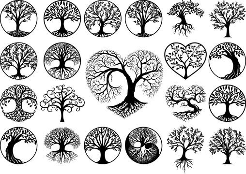Tree of Life Root Vector
