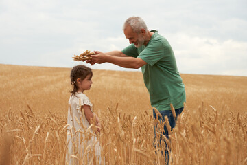 A picturesque rural landscape.  An adult gray-haired man in a wheat field putting a wreath of...