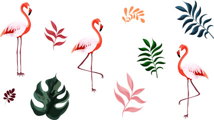 Set of flamingos and tropical leaves isolated on white background. Summer and botanical thematic. Vector illustration.