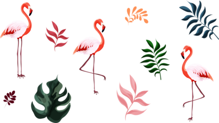 Set of flamingos and tropical leaves isolated on white background. Summer and botanical thematic. Vector illustration.