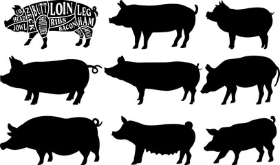 Pig Farm Animal Set of Vector