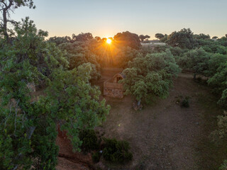 Toma a contraluz de drone en un atardecer con unas cabañas de madera en mitad del bosque