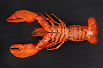top view of a whole cooked red lobster in supine position on black slate background, lobster lying on the back