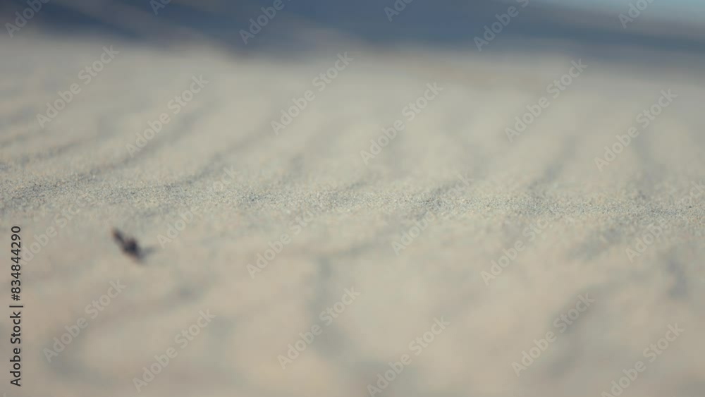 Poster the wavy pattern on the sand. a close-up parallax shot, bokeh background.