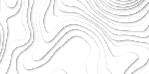 Abstract 3D Papercut Topographic Design – Modern Layered White Geometric Background with Smooth Wavy Texture for Creative Wallpaper, Business Cards, Banners, Posters, and Website Templates.