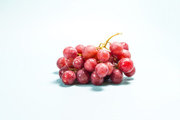 A branch with large red grapes and drops of water on a light background close-up.