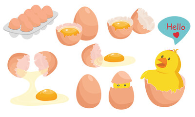 Egg vector set. Flat vector in cartoon style isolated on white background.