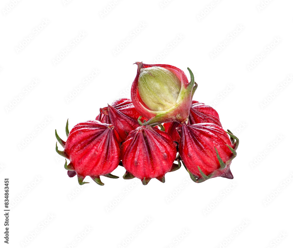 Wall mural Hibiscus sabdariffa or roselle fruits transparent png