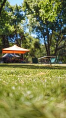 SunDrenched Camping Field A Serene Escape into Natures Embrace