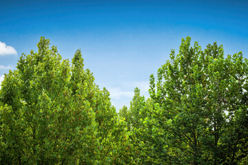 Sunny Pathway Alongside Modern Building with Punctured Facade