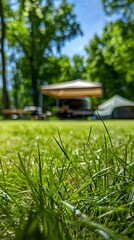 Sunny Camping Field A Serene Afternoon of Relaxation and Grassland Appreciation