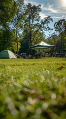 Sunny Camping Field A Serene Grassland Escape