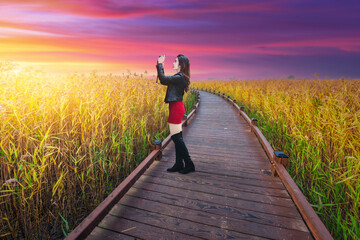 Young Asian tourist takes photos of grass in the morning at Suncheon Bay, South Korea.