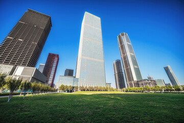 Serene Urban Park Shadowed by Modern Architectural Giants