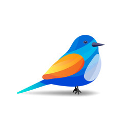 Colorful bird, blue orange, symbol vector illustration