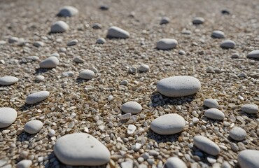 White_garden_grit_scattered_evenly_over_the_entire