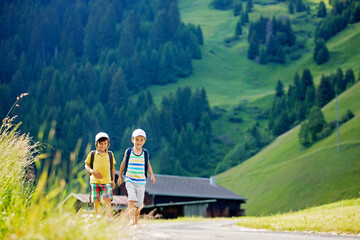 Two little children, boy brothers with backpacks travel on the road to scenic mountains