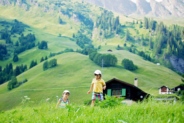 Two cute children, reading a book on a lawn in Swiss alps
