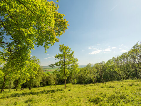 Central Bohemian Highlands, Czech Republic