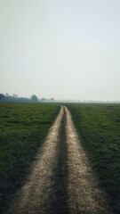 Jeep Safari trail in Kaziranga National Park, Assam