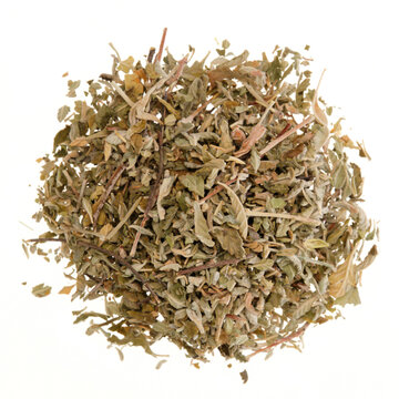 Overhead view of dried damiana leaves and stalks (Turnera diffusa), isolated on white background