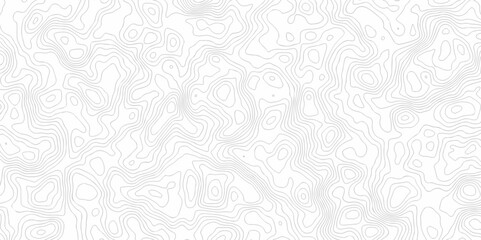 Vector geography landscape Topo contour map on white background, Topographic contour lines. Seamless pattern with lines Topographic map. Geographic mountain relief diagram line wave carve pattern.