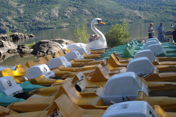 Nadadores en forma de pato
