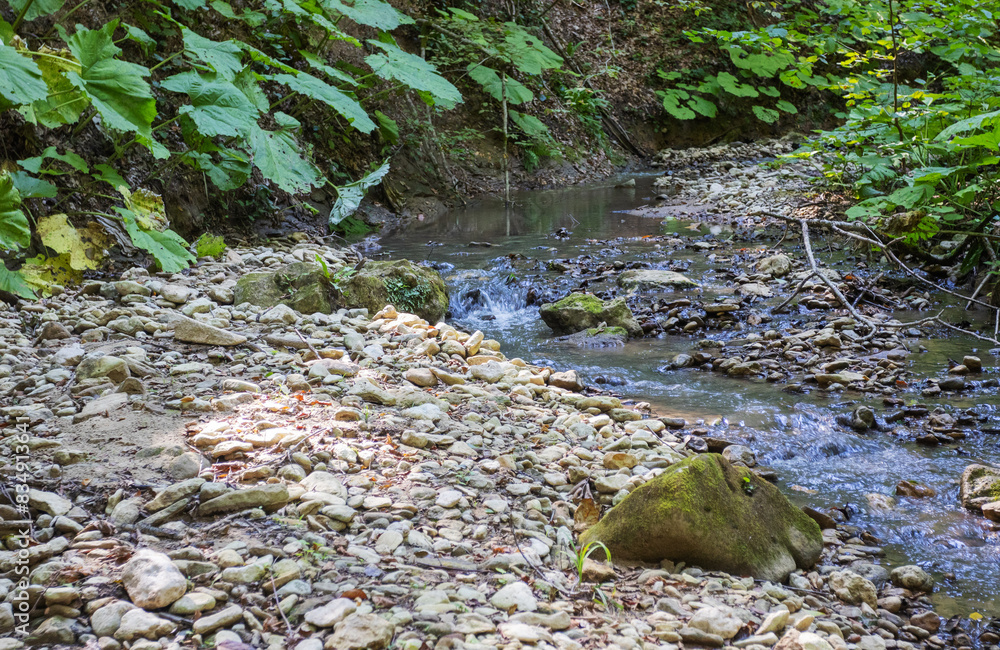 Wall mural Morning on a mountain river, walking, awakening in nature summer sunny mood.